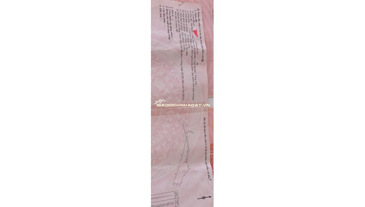 Chủ ngợp bán rẻ 1,5 sào đất CLN đối diện cổng chính khu CN Đất Đỏ 1 giá rẻ